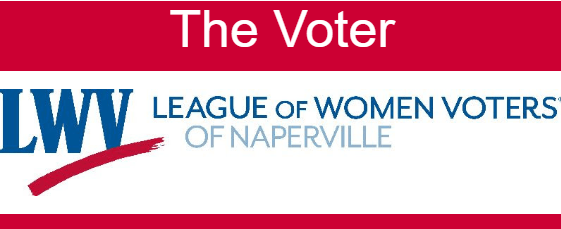 The Voter Newsletter