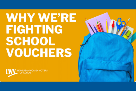 why we are fighting school vouchers webinar title slide
