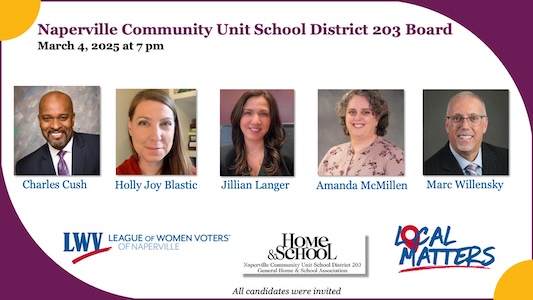 District 203 Candidate Forum list of candidates