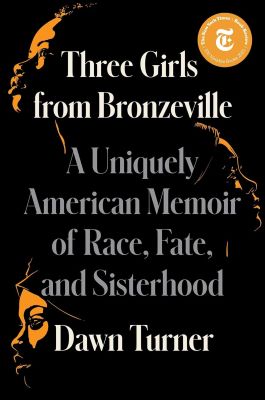 Dawn Turner's book, Three Girls from Bronzeville